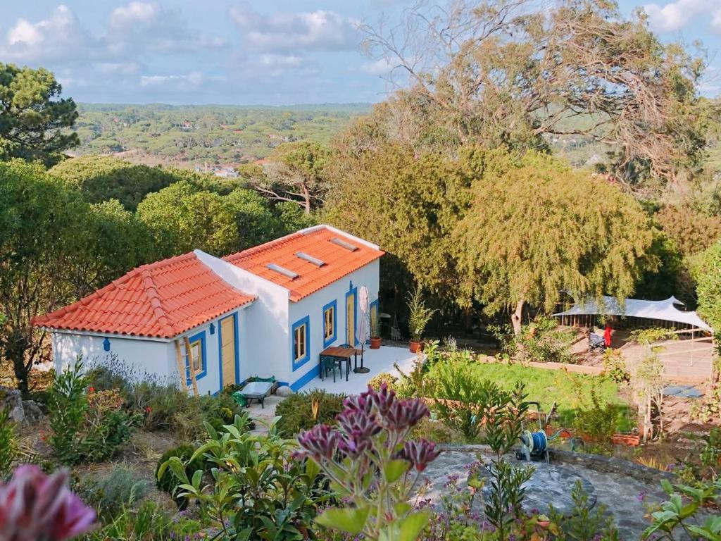 Villa Casa Do Sol à Colares Extérieur photo